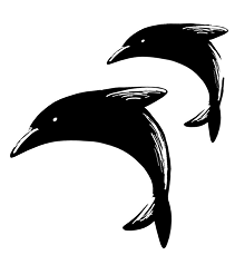 イルカのイラスト